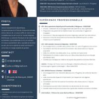 Vignette pour l'image de la liste principale